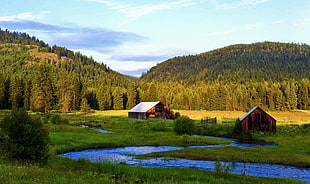 brown wooden barn