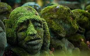 green and brown stone fragment, stones, face, moss, sculpture