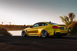 yellow BMW sports coupe beside green leaf plants during daytime HD wallpaper