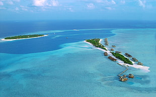 plant covered islands, nature, Maldives