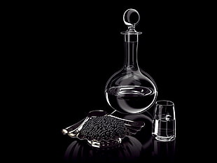 clear glass decanter and shot glass