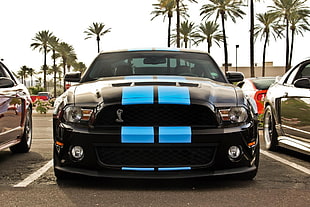 black and blue Ford Mustang, Ford Mustang, muscle cars, blue stripes, black paint