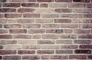 gray and brown concrete wall
