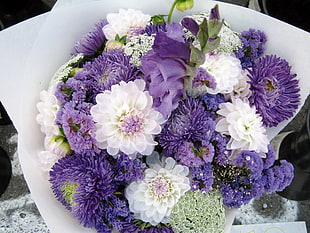 white and purple petaled flowers