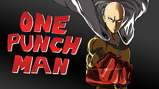 One Punch Man illustration HD wallpaper