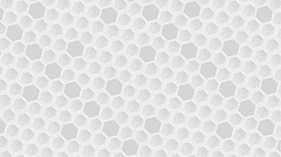 white and gray quatrefoil area rug, hive, honeycombs, hexagon, bright
