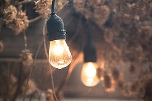 yellow light bulb, rain, lightbulb HD wallpaper