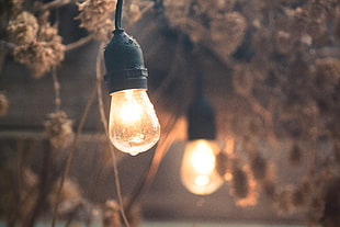yellow light bulb, rain, lightbulb