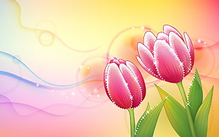two pink Tulip flowers artwork