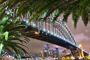 black and gray bridge during nighttime, sydney HD wallpaper