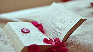 open book with pink petaled flowers