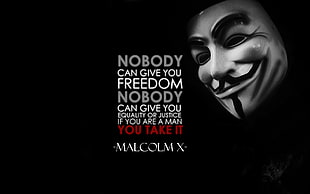 Guy Fawkes mask Nobody Can Give You quote