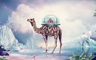 brown camel illustration, animals, digital art, camels, artwork