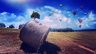 brown hay roll, hay, field, hot air balloons, digital art