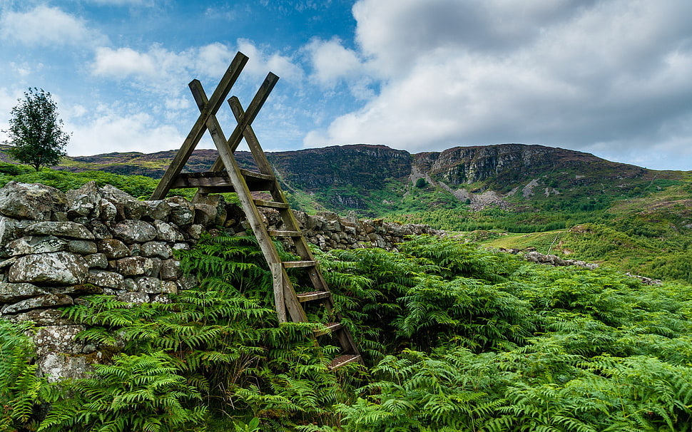 landscape photography of ladder on grass-covered rock formation HD wallpaper