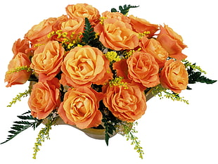 orange Roses and yellow Goldenrod flowers bouquet HD wallpaper