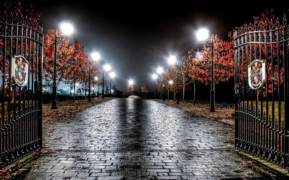 black steel gate near brown trees and light posts HD wallpaper
