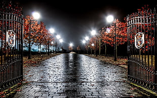 black steel gate near brown trees and light posts