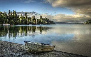 gray boat, nature