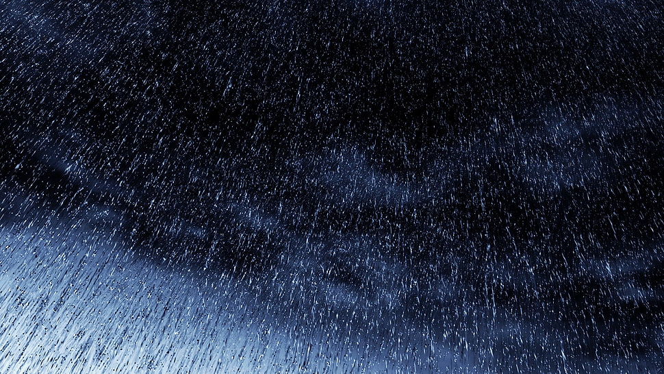 black and white area rug, rain, nature HD wallpaper