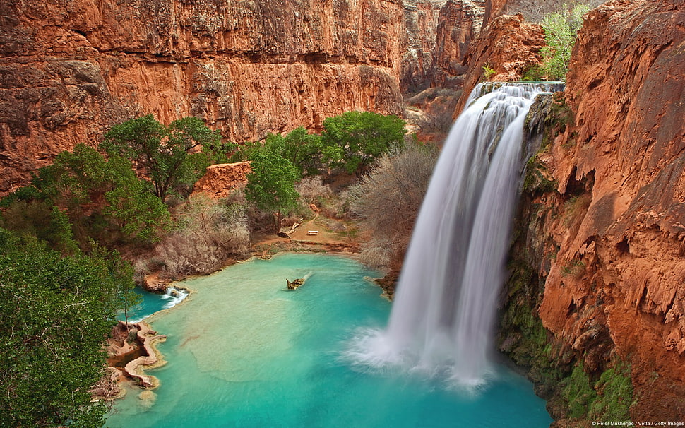 waterfalls and trees, nature, landscape, waterfall HD wallpaper