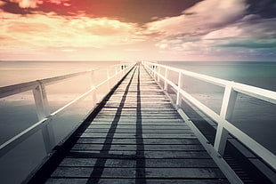 white and gray wooden dock on sea