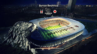 black and white electric coil range oven, Vodafone Arena, eagle, Besiktas J.K., Istanbul