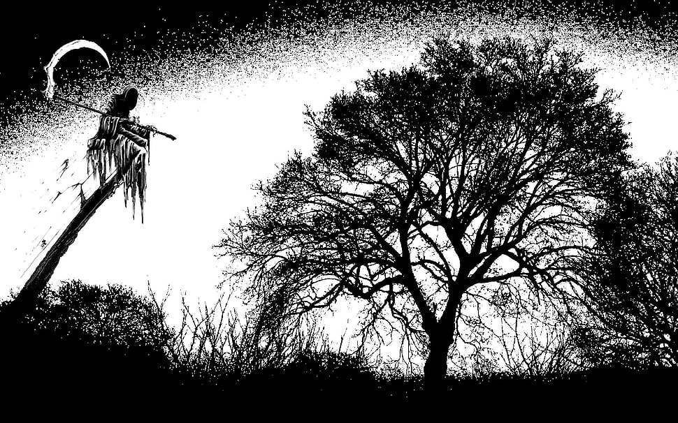grim reaper on top of tree branch near trees artwork HD wallpaper