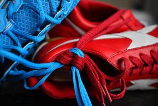 close-up photo of red and blue leather sneakers HD wallpaper