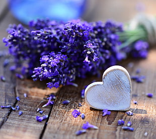purple petaled flower and white wooden heart decor, heart, flowers, lavender