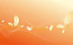 white feather wallpaper