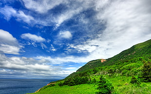 mountains covered with grass and ocean under blue cloudy sky during daytime