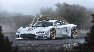 silver sports coupe, vehicle, tesla r45, car, silver cars