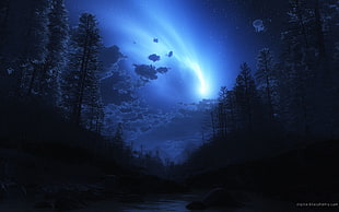 digital painting of trees at night, trees, night, stars, Digital Blasphemy HD wallpaper