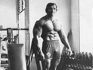Arnold Schwarzenegger, Arnold Schwarzenegger, bodybuilding, Bodybuilder, working out HD wallpaper