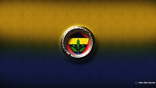 green and red logo, Fenerbahçe