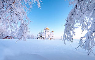 Taj Mahal, India, Ural, winter, Russia, snow