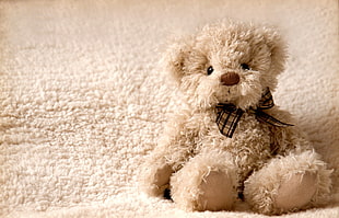 beige bear plush toy on beige textile