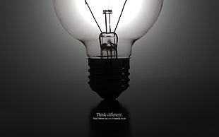 incandescent lightbulb, light bulb, quote HD wallpaper