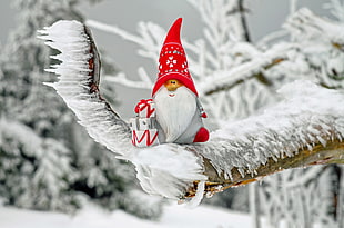 photography of dwarf ceramic figurine on snow coated tree branch HD wallpaper