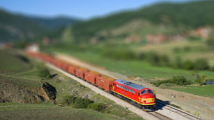 red steam train toy in macro shot HD wallpaper