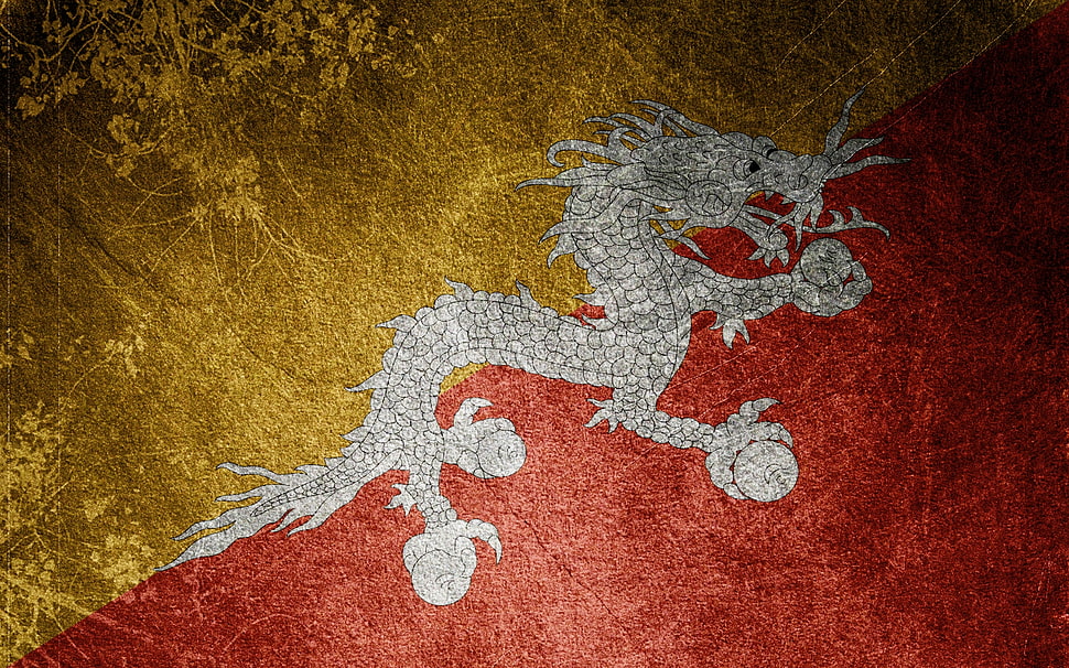 gray dragon illustration HD wallpaper