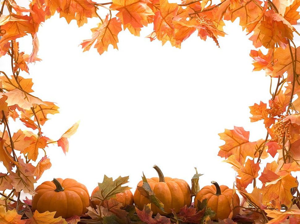 halloween wallpapers HD wallpaper
