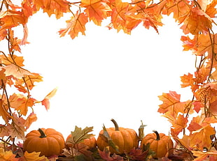 halloween wallpapers HD wallpaper