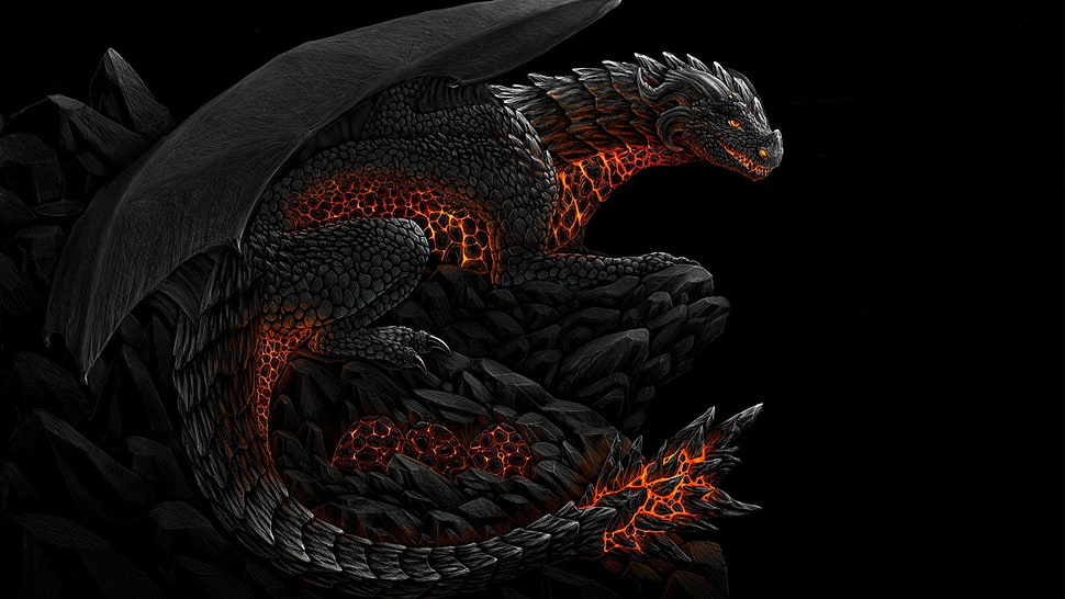 black and red dragon illustration HD wallpaper