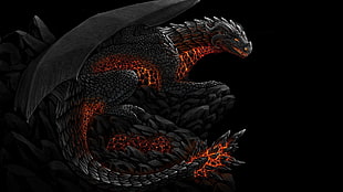 black and red dragon illustration