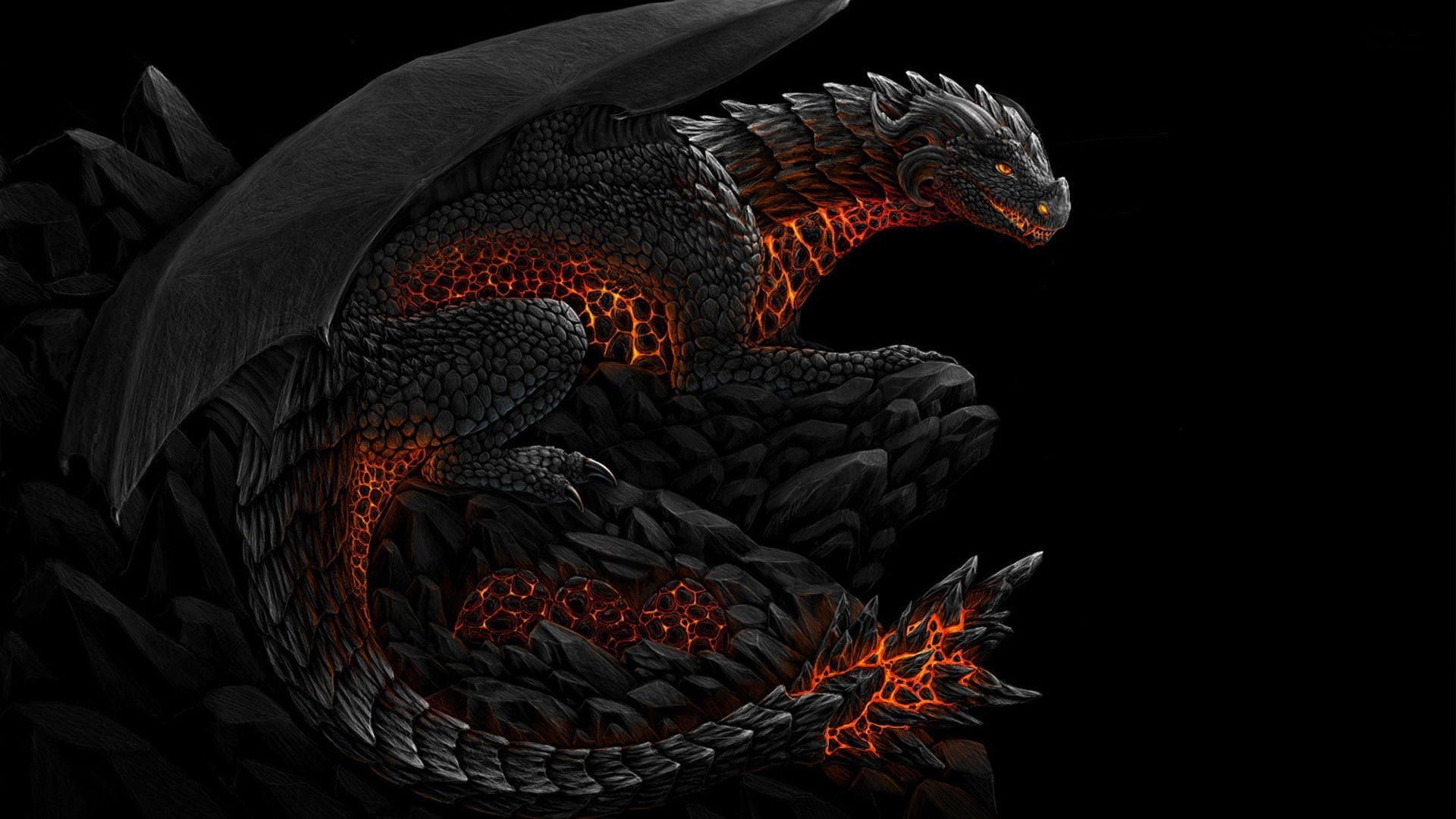 black and red dragon illustration