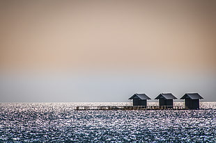 three brown house center of sea at daytime HD wallpaper