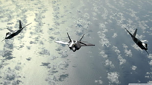 three gray jet planes, military, military aircraft, USA, F-22 Raptor