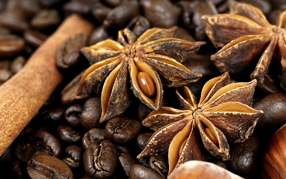 coffee beans HD wallpaper